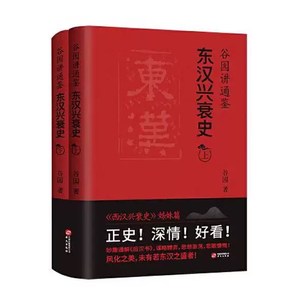 东汉兴衰史