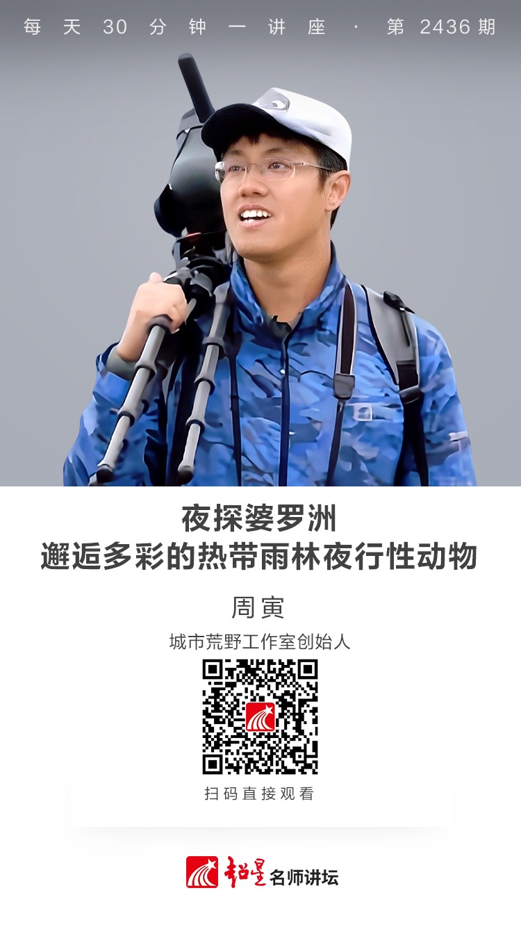 隆图讲座（一百八十八）｜【夜探婆罗洲——邂逅多彩的热带雨林夜行性动物】