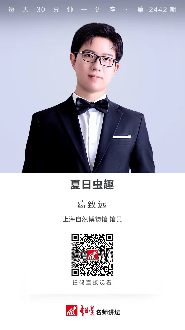 隆图讲座（一百九十一）｜【夏日虫趣】