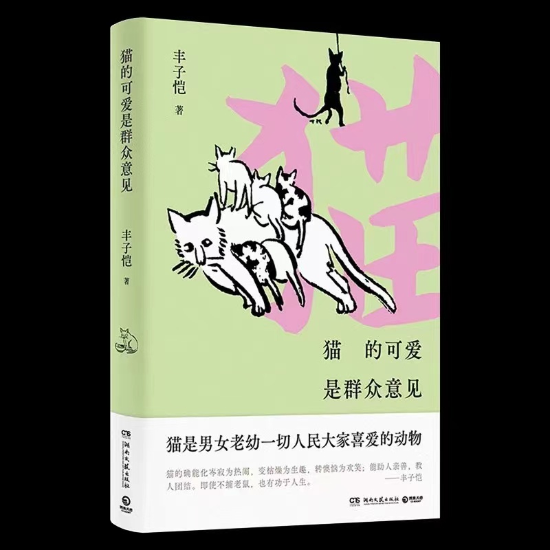 猫的可爱是群众意见