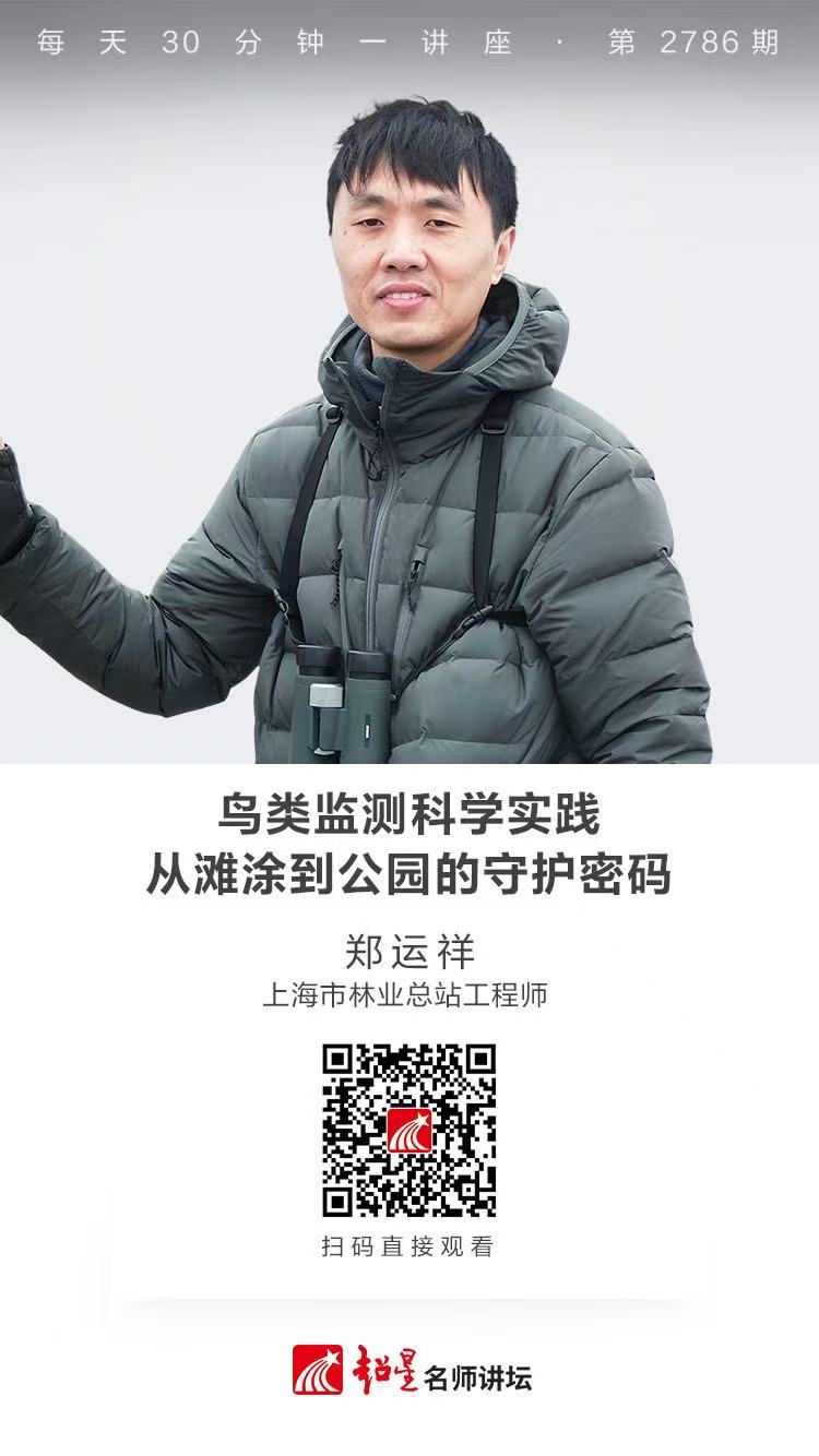 隆图讲座（一百六十二)｜【鸟类监测科学实践：从滩涂到公园的守护密码】